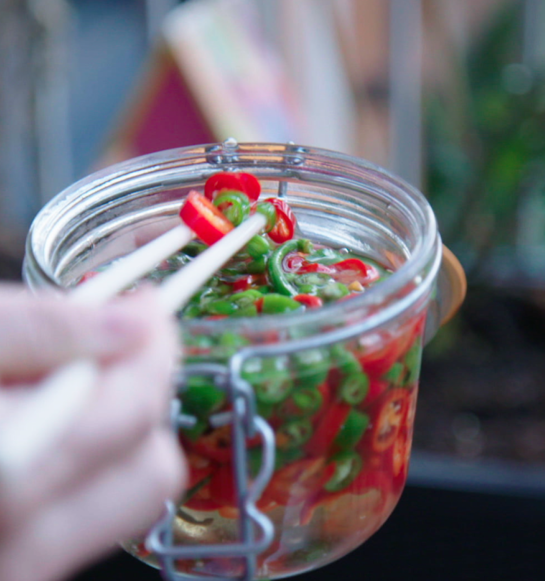 Pickled Chillies (video)